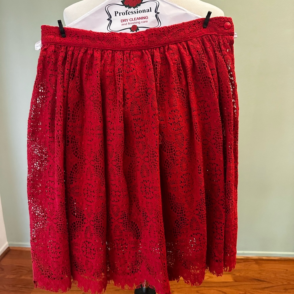 Southern Gothic Skirt in Crimson PETITE Large